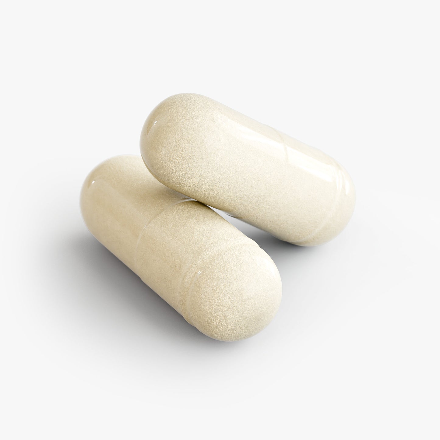 Reflora — Gut-Bladder Probiotic for IC & a Calmer Bladder